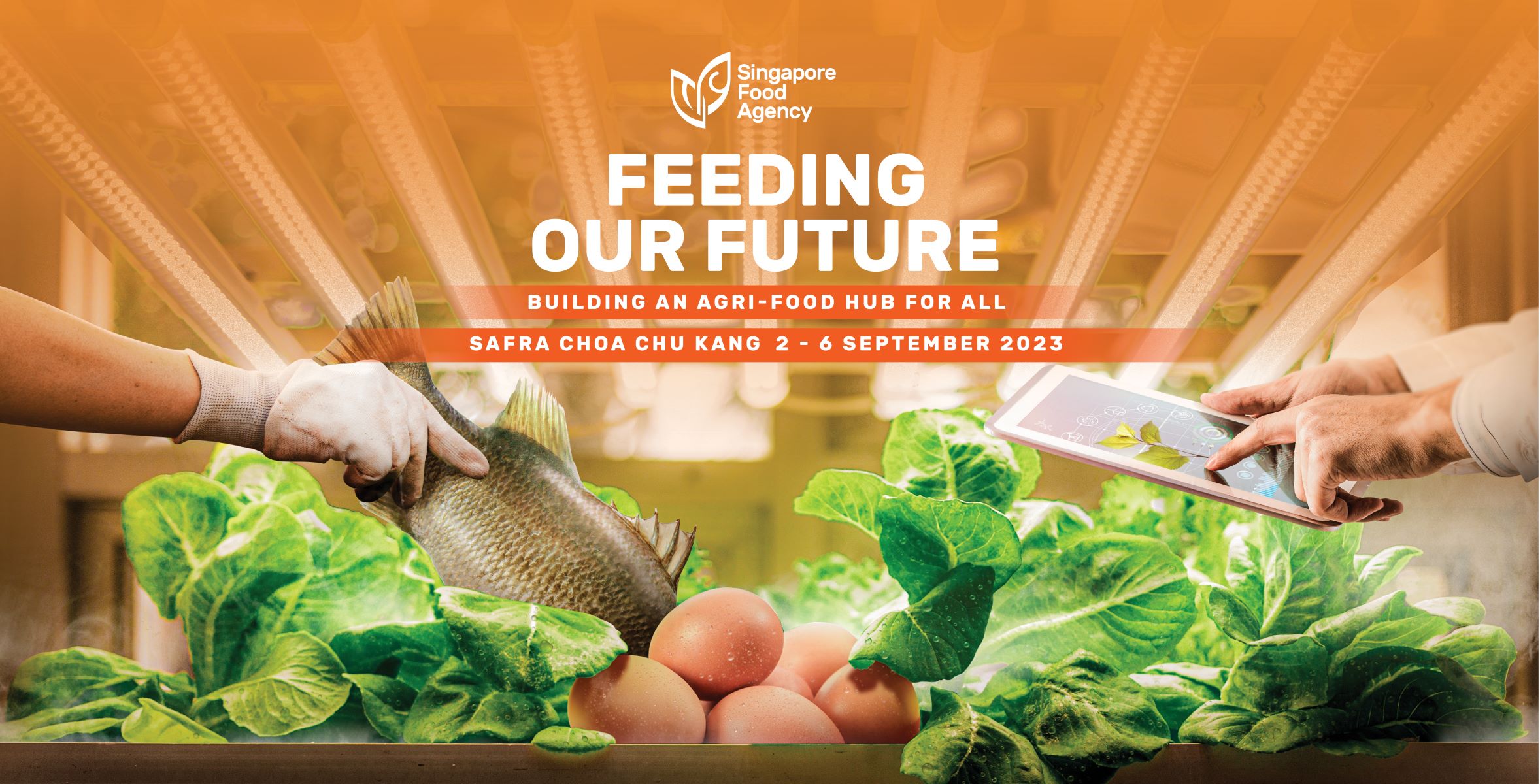 Feeding our Future: Building an Agri-Food Hub for all
